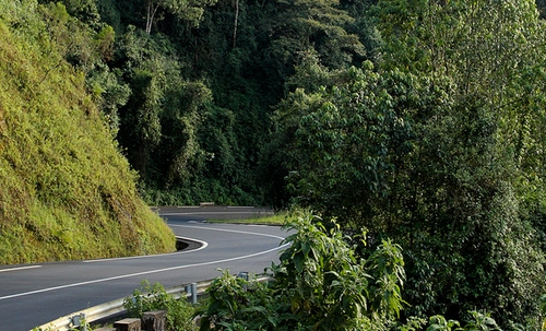 Getting-to-Nyungwe